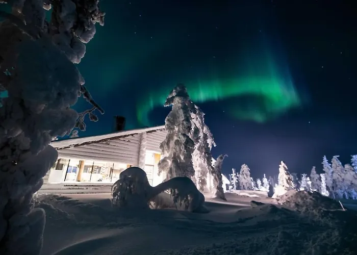 Hideout - Viima * 列维